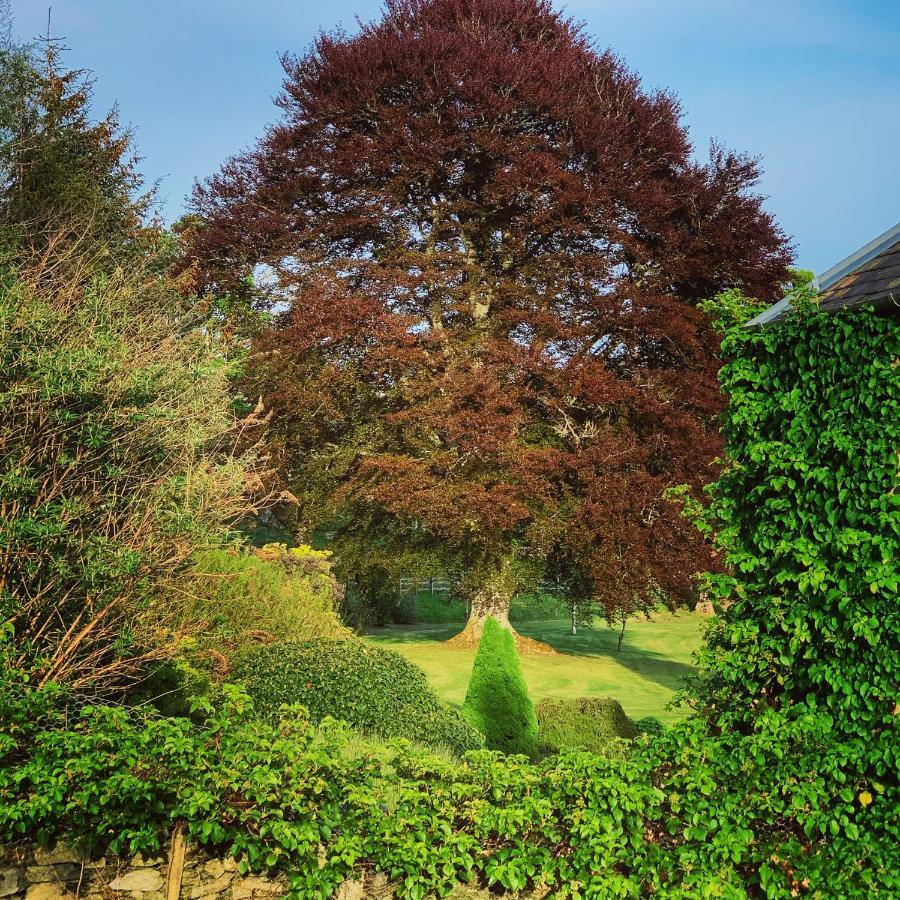 Country house The Old Manse Of Blair, Boutique & Michelin Restaurant